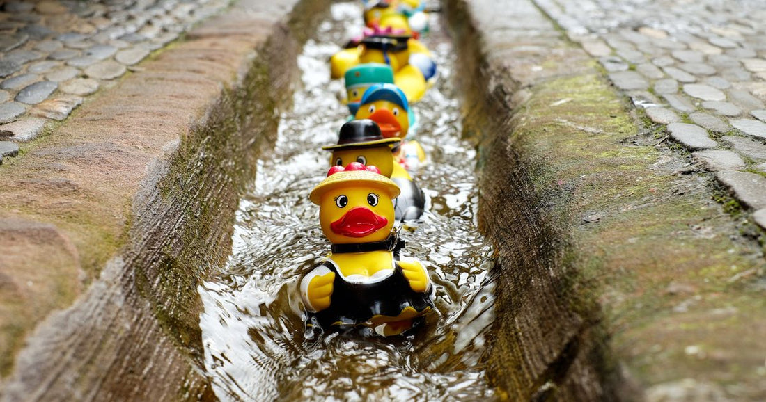 Custom Cruise Line Ducks: The Ultimate Gift Guide - JM Designs 