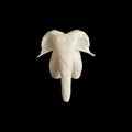 4 Different White Elephant Towel Animal Keychain Cruise Lines Souvenir Travel Accessory Vacation - JM Designs
