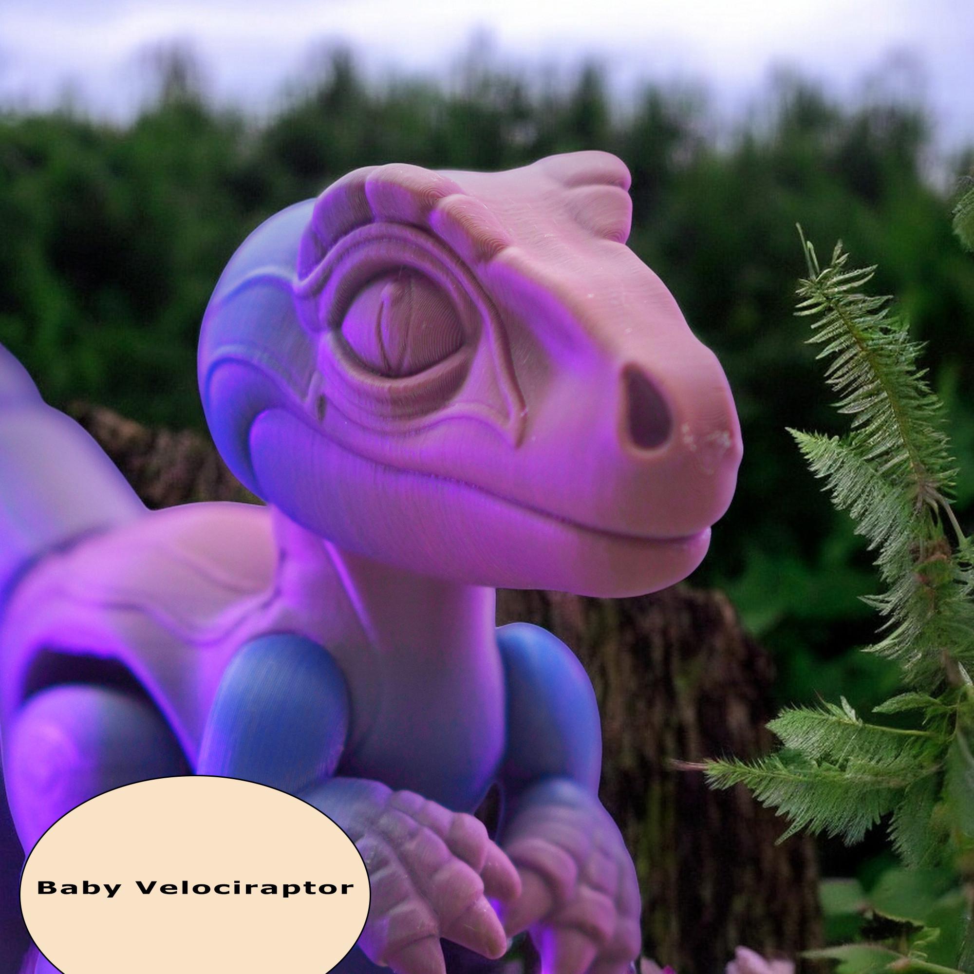 Articulated Baby Velociraptor Articulated Dinosaur Figure Toy Baby Velociraptor Posable Raptor Figurine Collectible Prehistoric Toy - JM Designs
