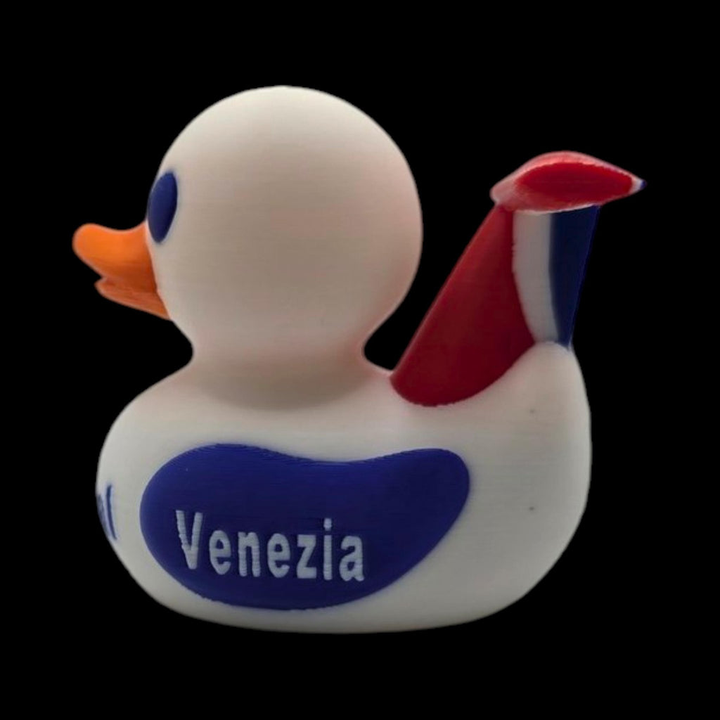 Carnival Inspired Cruise Duck — Customizable - JM Designs