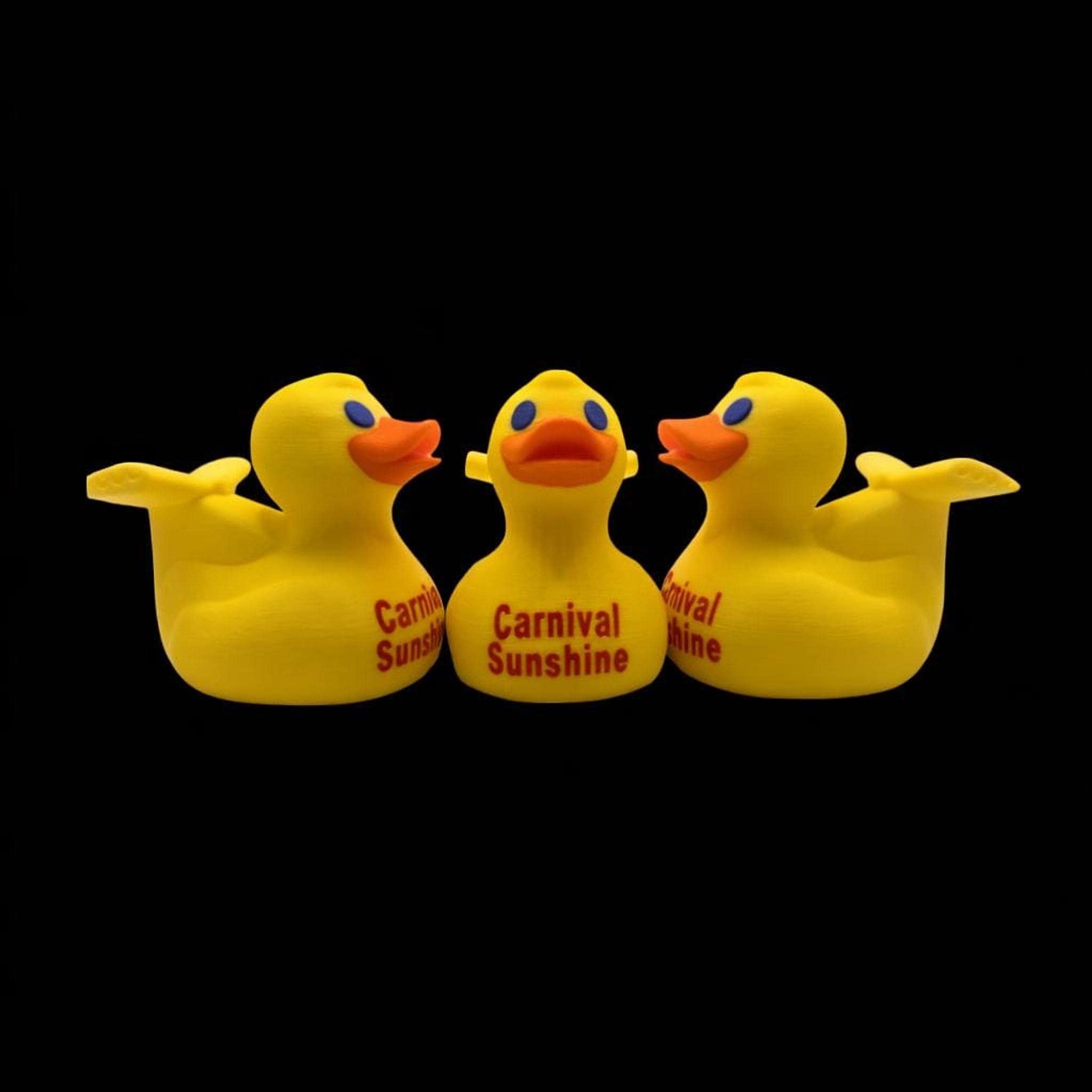 Carnival Cruise Inspired Duck, 3D Printed Novelty with Custom Ship Name - JM Designs
