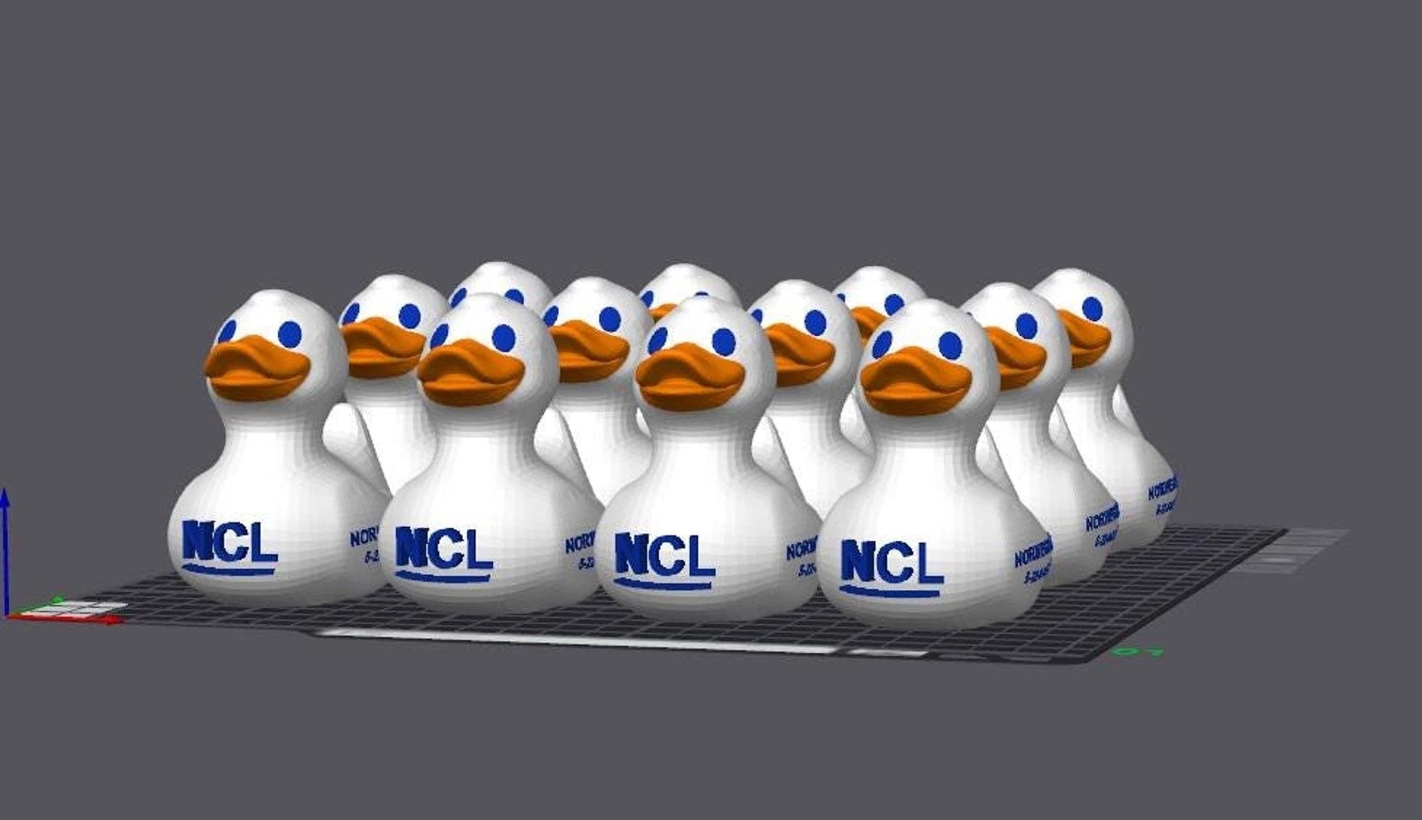 Custom Cruise Duck, NCL Inspired Rubber with Personalized Details - JM Designs
