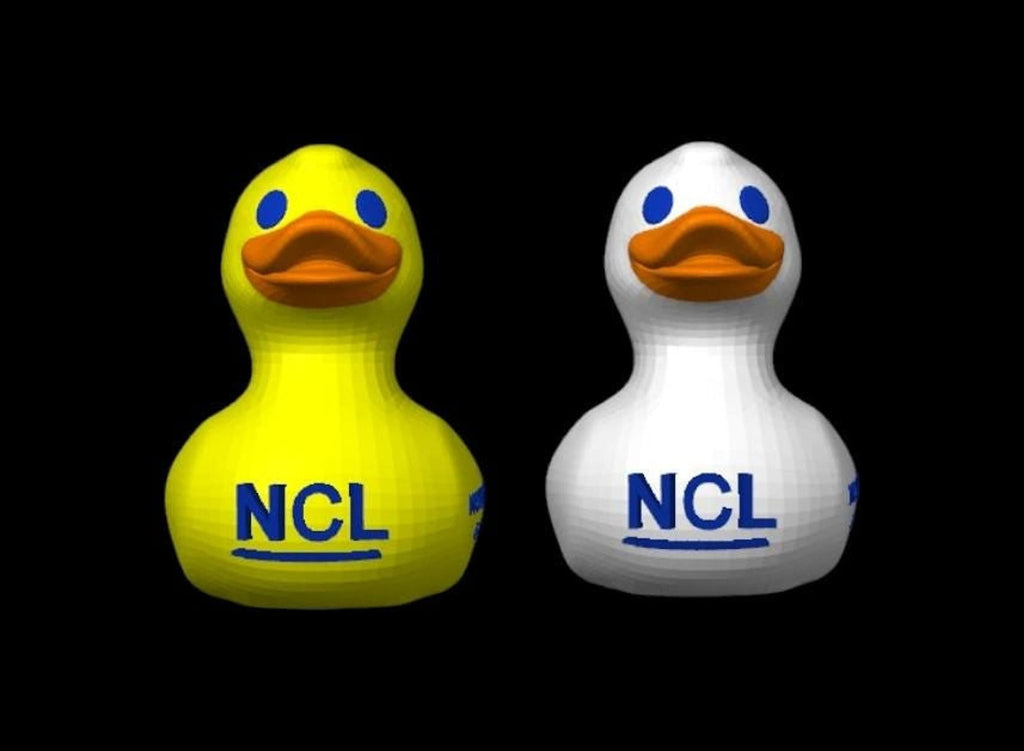 Custom Cruise Duck, NCL Inspired Rubber with Personalized Details - JM Designs