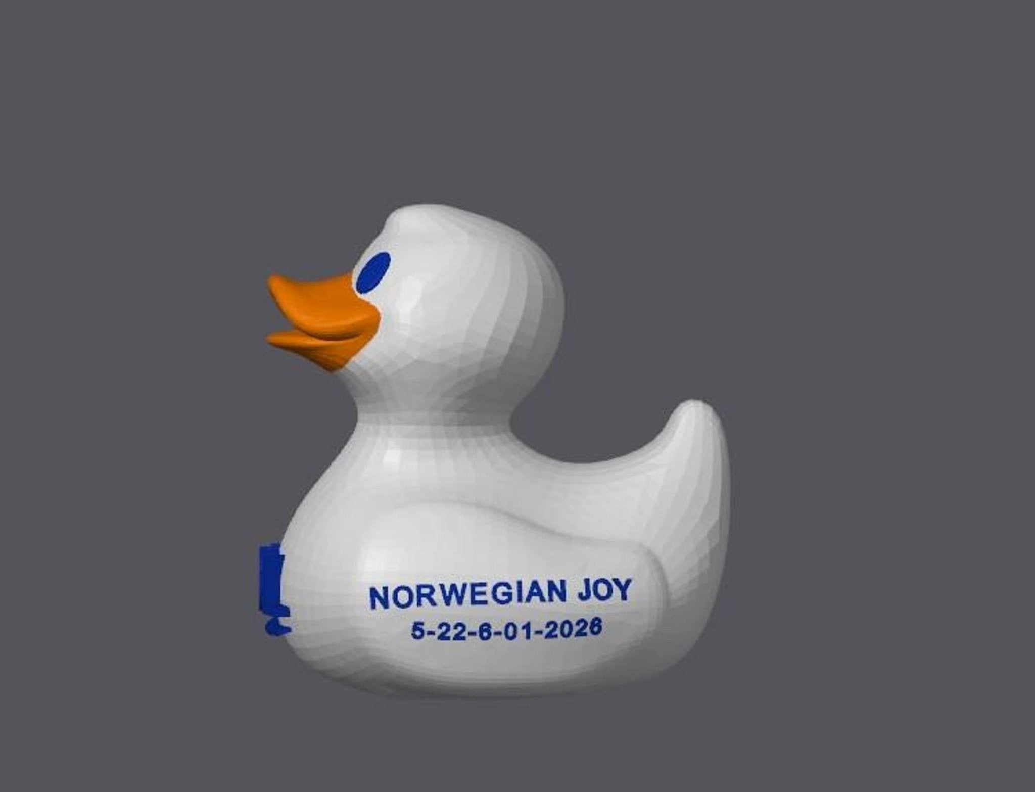 Custom Cruise Duck, NCL Inspired Rubber with Personalized Details - JM Designs