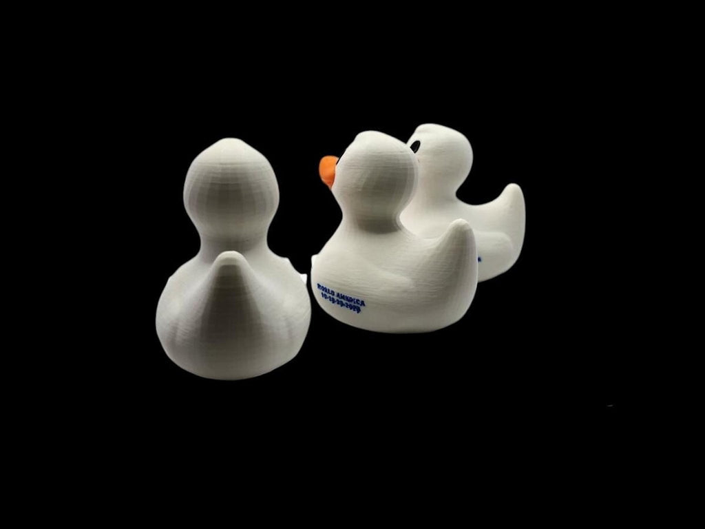 Custom Cruise Duck with Personalized Ship Name, Nautical Vacation Souvenir - JM Designs