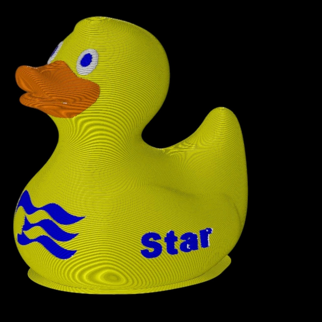 Custom Cruise Inspired Princess Duck Cabin Decoration with Personalized Ship Name and Travel Date - JM Designs