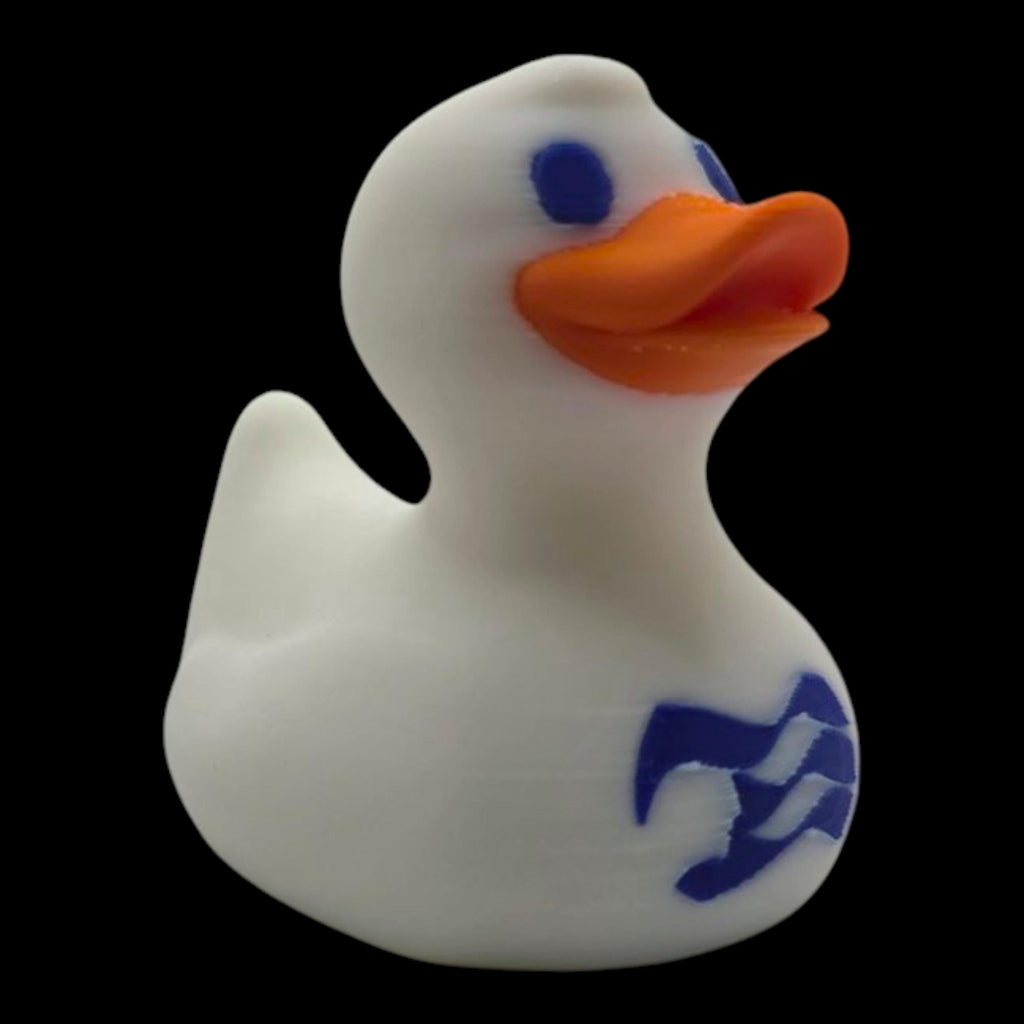Custom Cruise Inspired Princess Duck Cabin Decoration with Personalized Ship Name and Travel Date - JM Designs