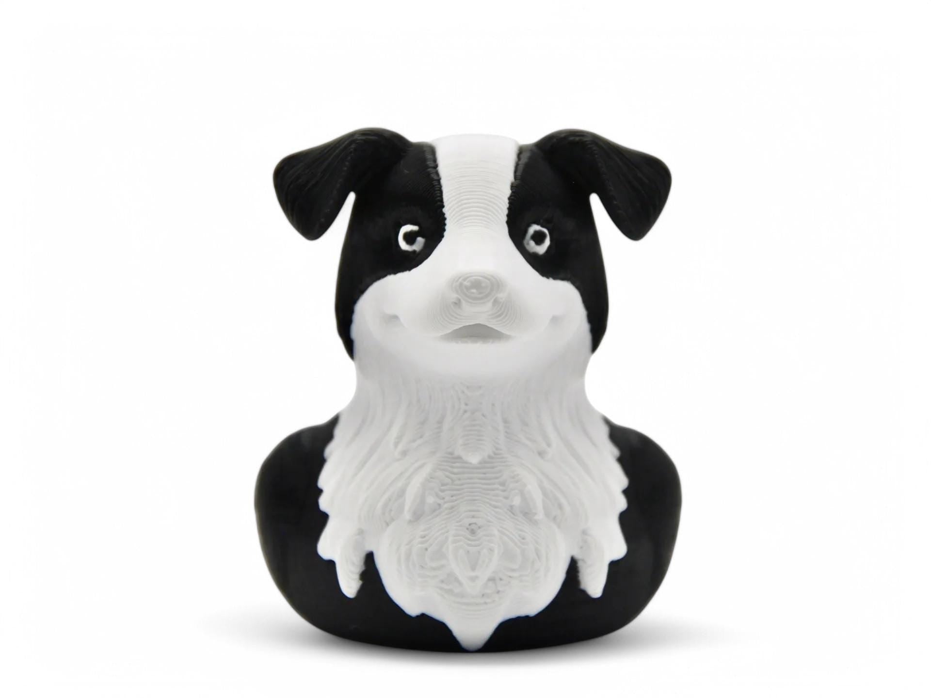Border Collie Duck 3d printed