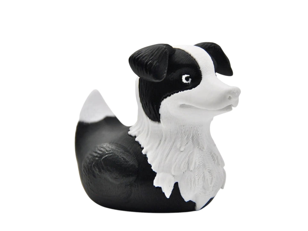 Border Collie Duck 3d printed