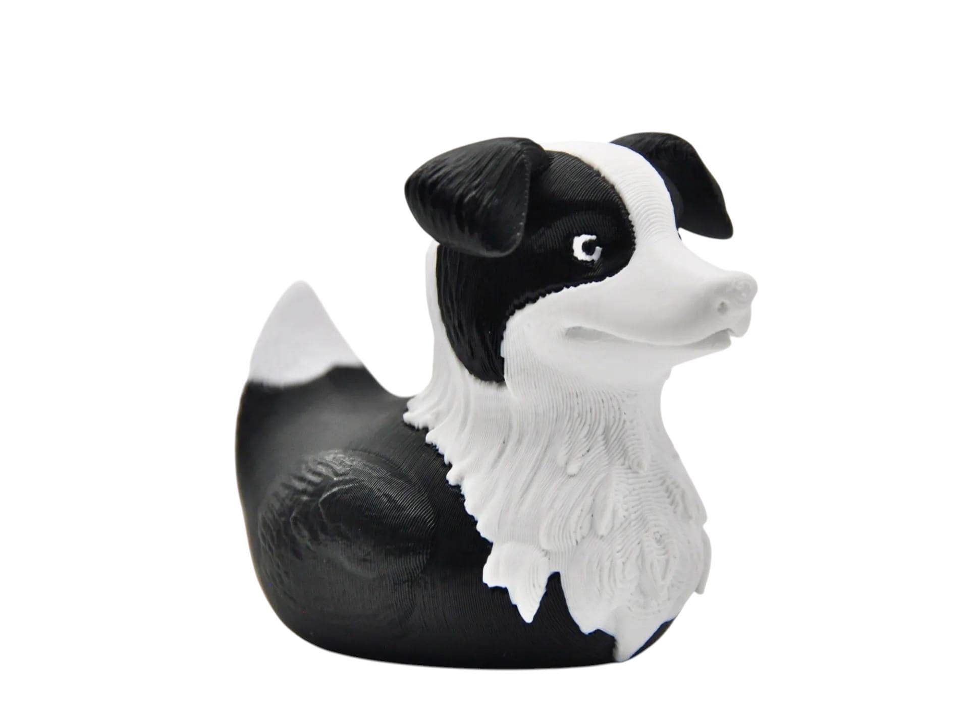 Border Collie Duck 3d printed