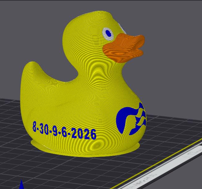 Princess Cruise Inspired Duck Cabin Decoration Travel Souvenir Ship Name Date Customization Themed Collection Cruising Tradition Vacation