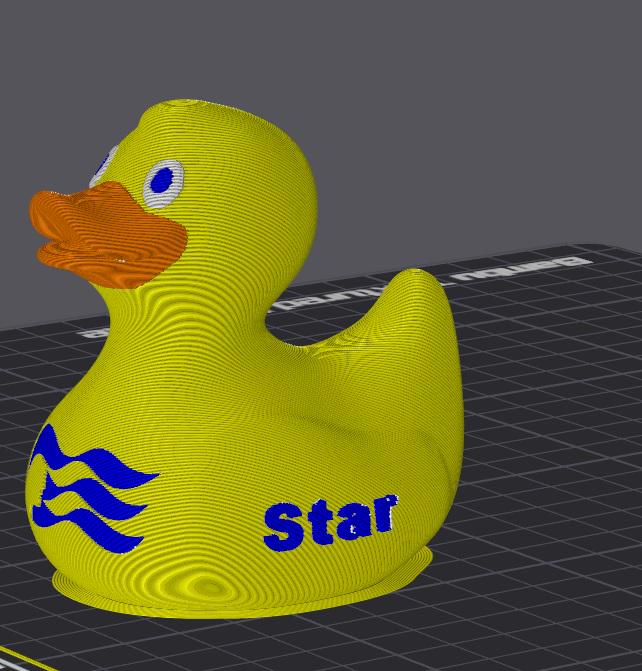 Princess Cruise Inspired Duck Cabin Decoration Travel Souvenir Ship Name Date Customization Themed Collection Cruising Tradition Vacation