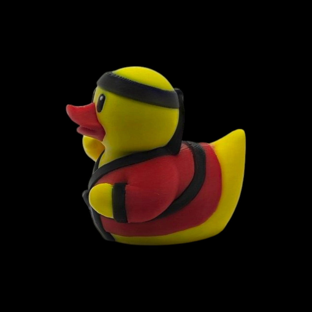 Karate Duck - JM Designs