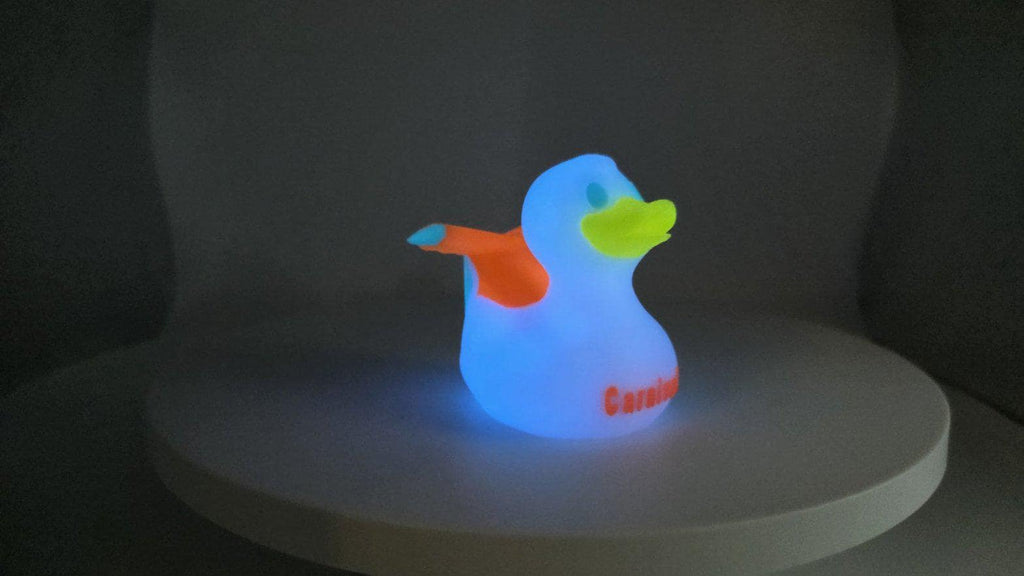Limited Edition Cruise Ship-Inspired Duck - JM Designs
