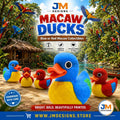 Macaw Duck Figurine, Colorful 3D Printed Tropical Bird Collectible - JM Designs