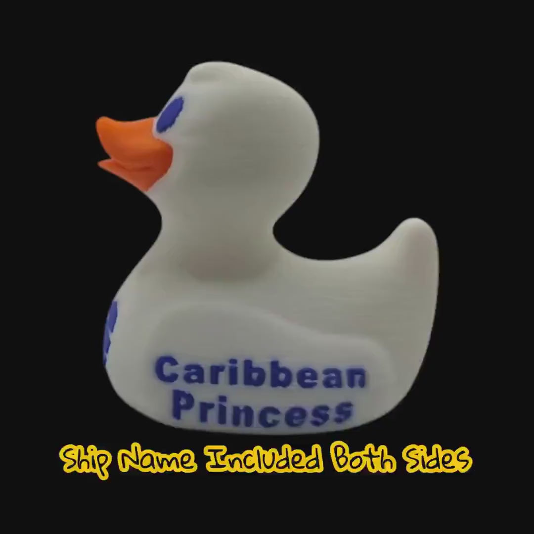 Custom Cruise Inspired Princess Duck Cabin Decoration with Personalized Ship Name and Travel Date