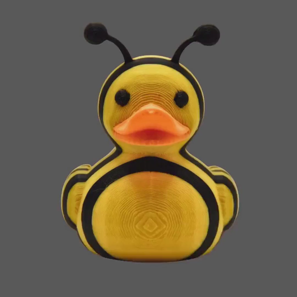 Duck Wall Art, 3D Printed Bumble Bee Decor for Nursery or Bathroom