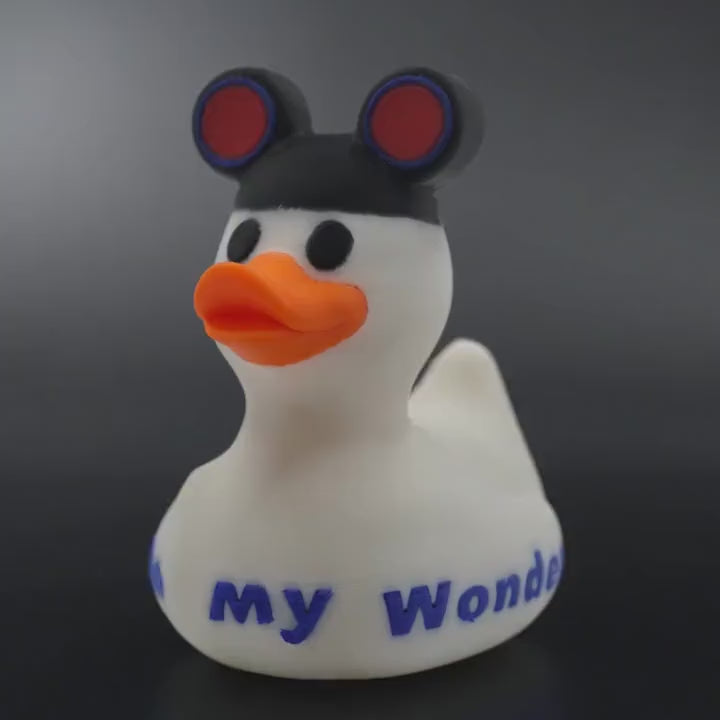Disney Inspired Cruise Ducks White & Black, Collectible Cabin Decoration, Mickey Ears, Custom Ship Name