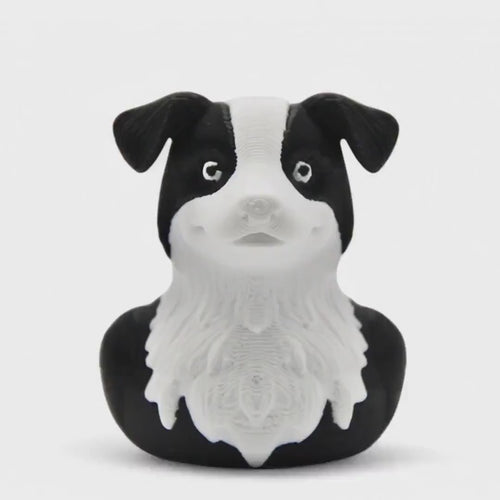 Border Collie Duck 3D Printed Figure, Custom Made Pet Toy for Desk Decor