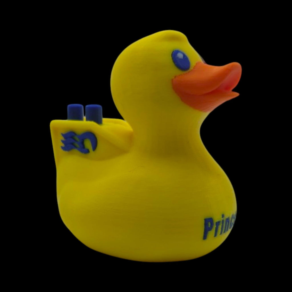 Princess Cruise Inspired Duck Cabin Decoration Travel Souvenir Ship Name Date Customization Themed - JM Designs