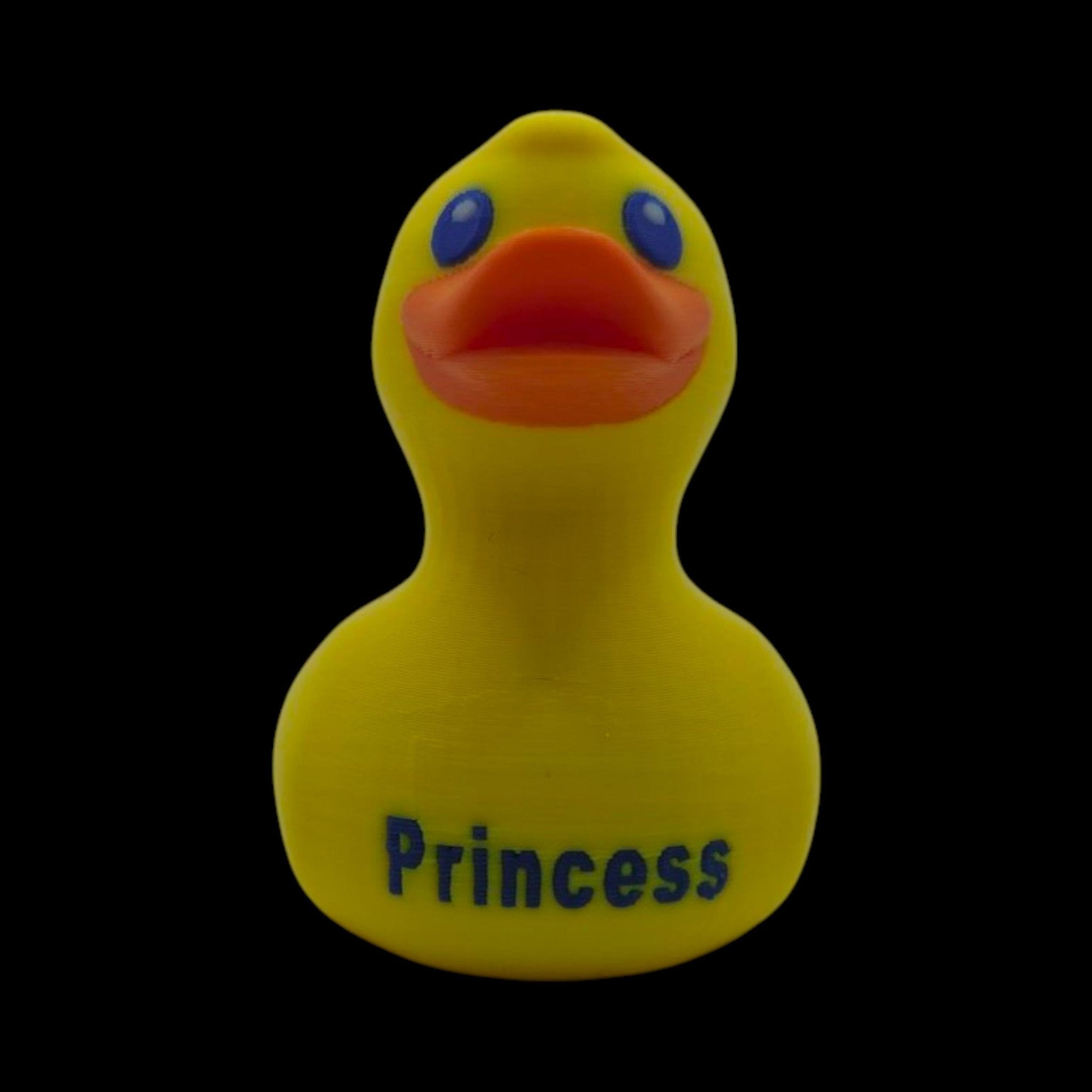 Princess Cruise Inspired Duck Cabin Decoration Travel Souvenir Ship Name Date Customization Themed - JM Designs