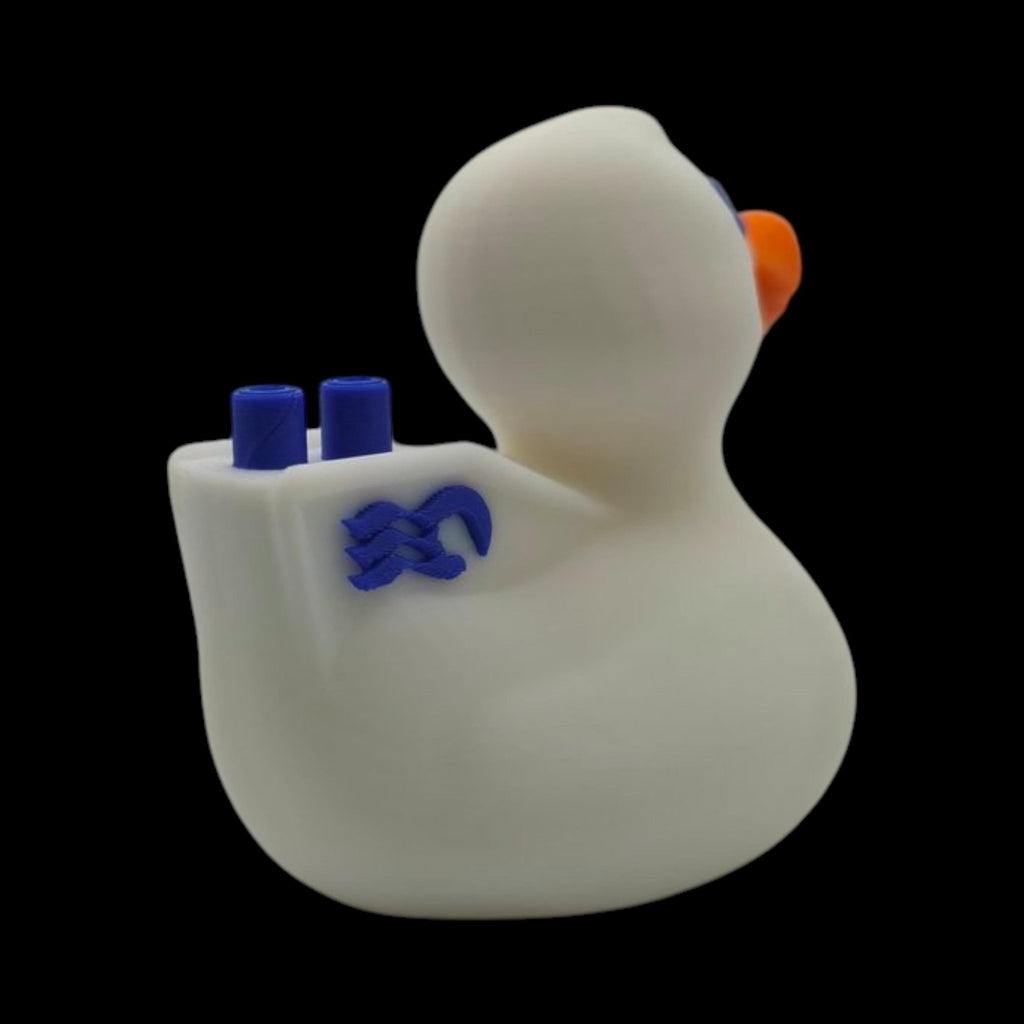 Princess Cruise Inspired Duck Cabin Decoration Travel Souvenir Ship Name Date Customization Themed - JM Designs