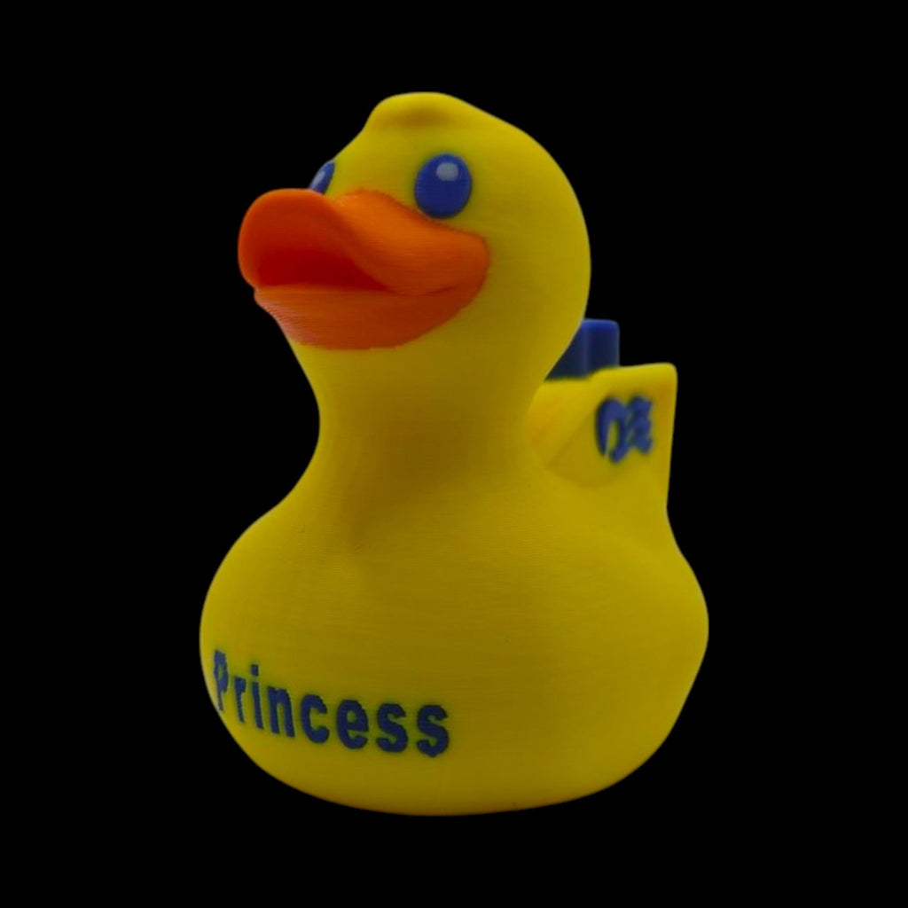 Princess Cruise Inspired Duck Cabin Decoration Travel Souvenir Ship Name Date Customization Themed - JM Designs