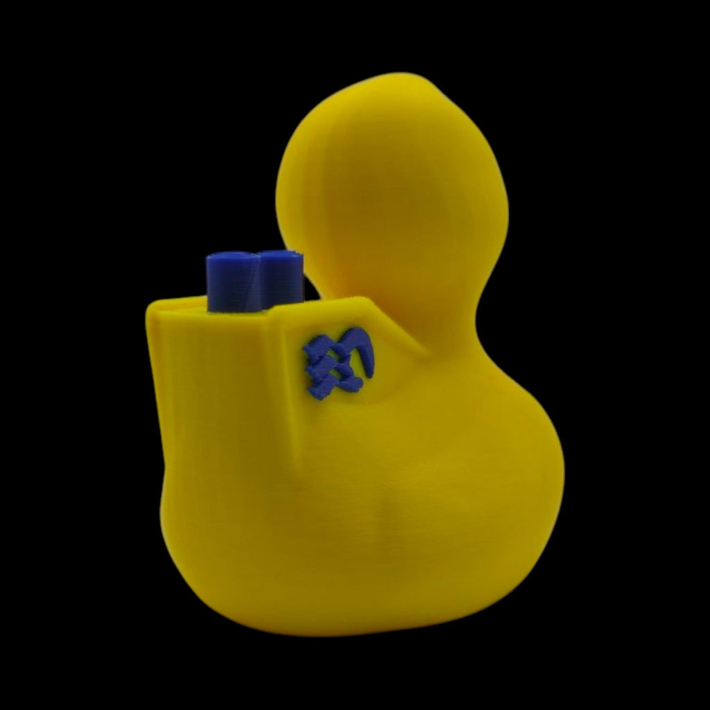 Princess Cruise Inspired Duck Cabin Decoration Travel Souvenir Ship Name Date Customization Themed - JM Designs
