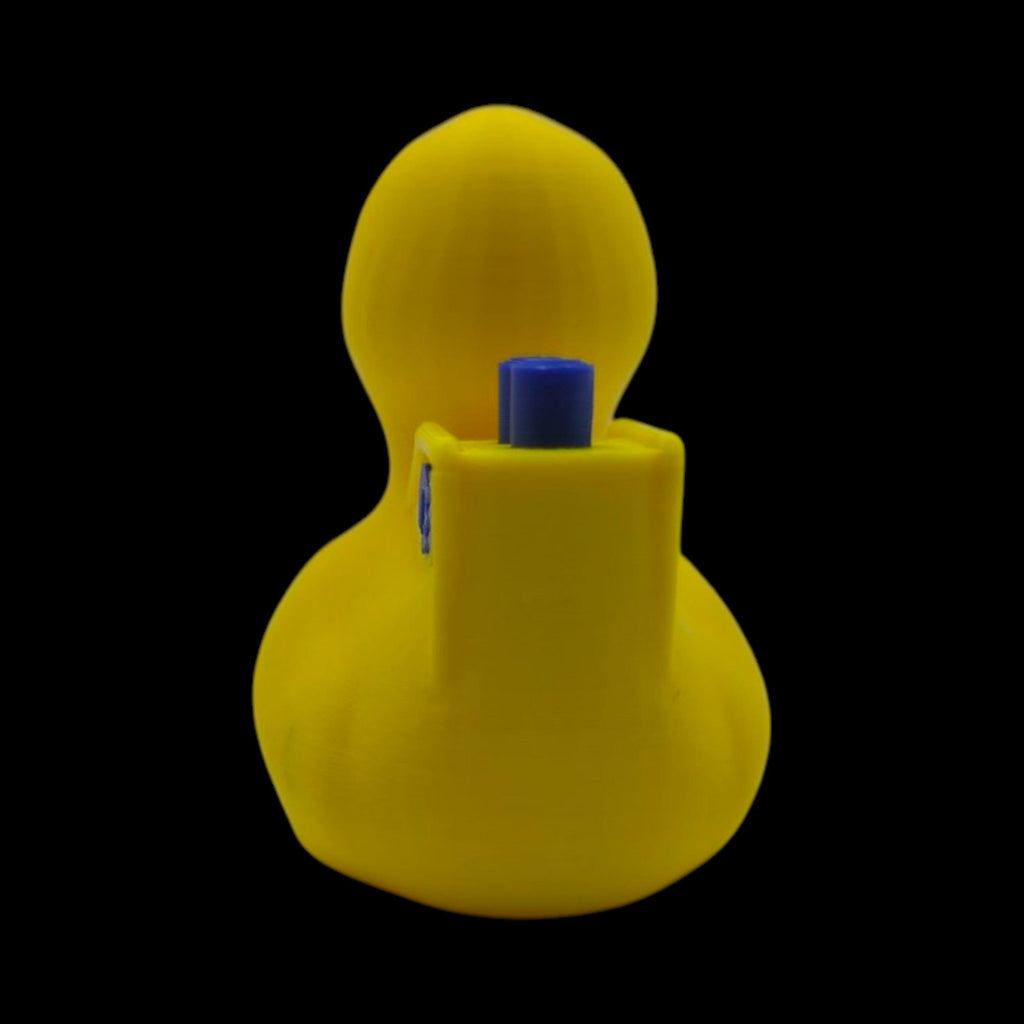 Princess Cruise Inspired Duck Cabin Decoration Travel Souvenir Ship Name Date Customization Themed - JM Designs