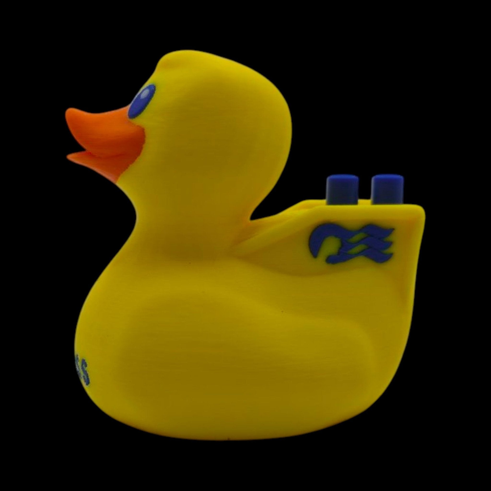 Princess Cruise Inspired Duck Cabin Decoration Travel Souvenir Ship Name Date Customization Themed - JM Designs