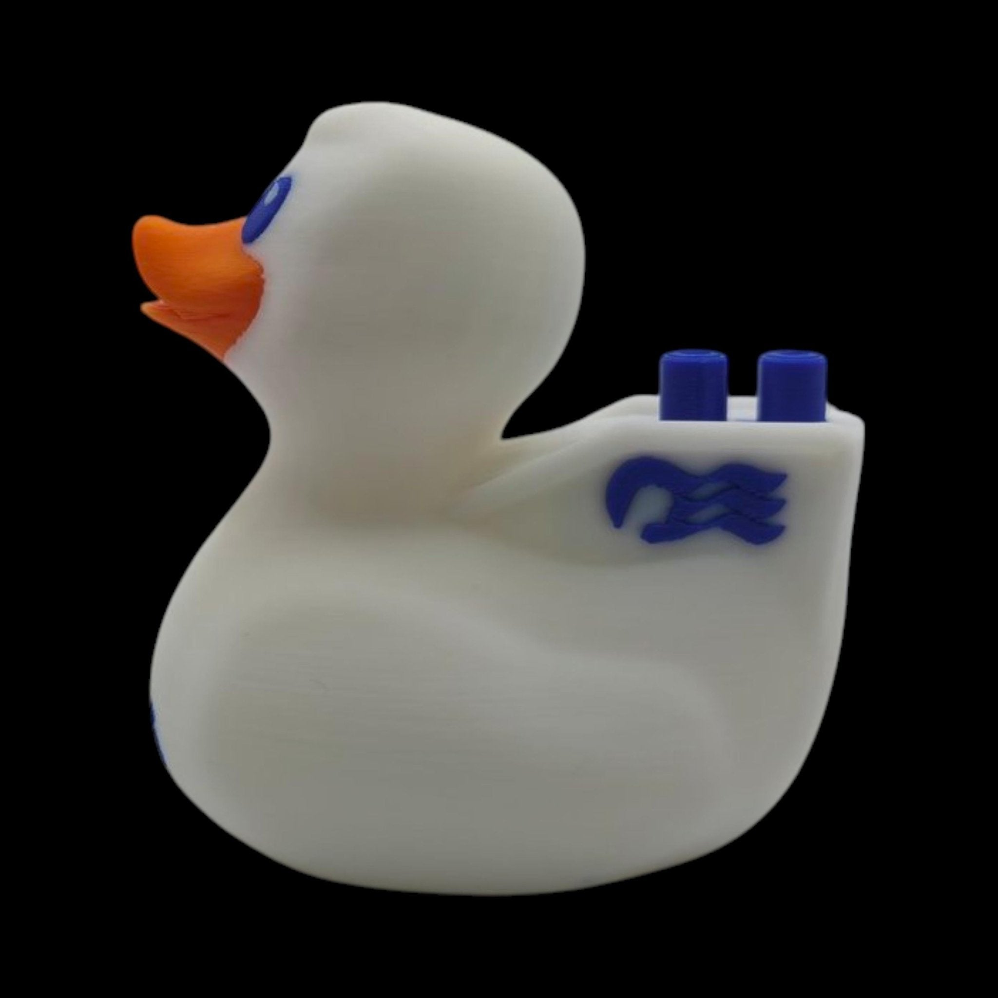 Princess Cruise Inspired Duck Cabin Decoration Travel Souvenir Ship Name Date Customization Themed - JM Designs