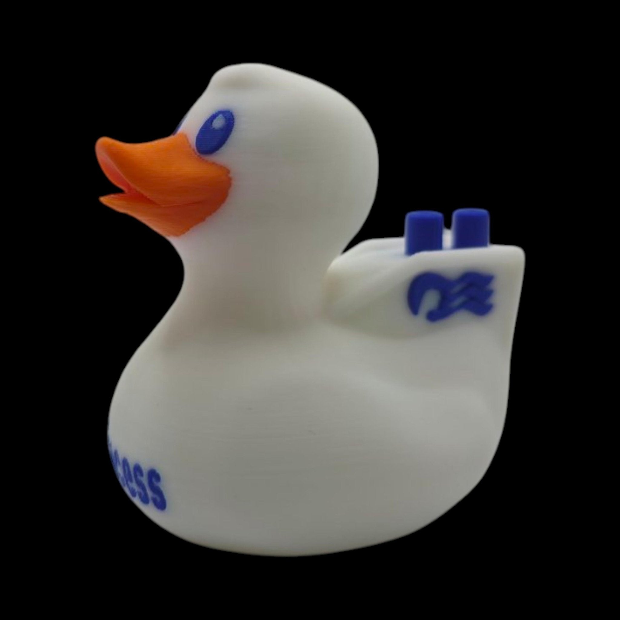 Princess Cruise Inspired Duck Cabin Decoration Travel Souvenir Ship Name Date Customization Themed - JM Designs