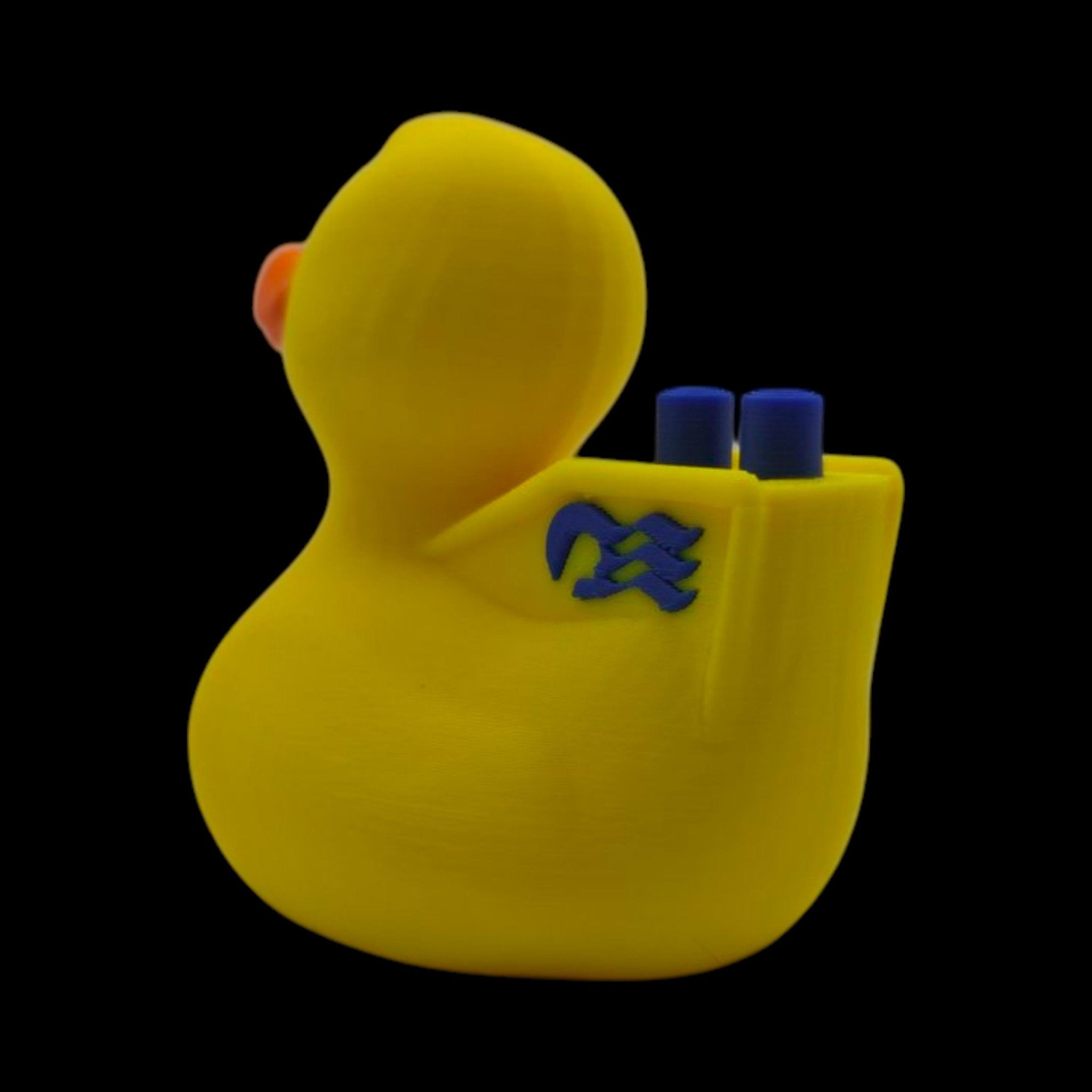 Princess Cruise Inspired Duck Cabin Decoration Travel Souvenir Ship Name Date Customization Themed - JM Designs
