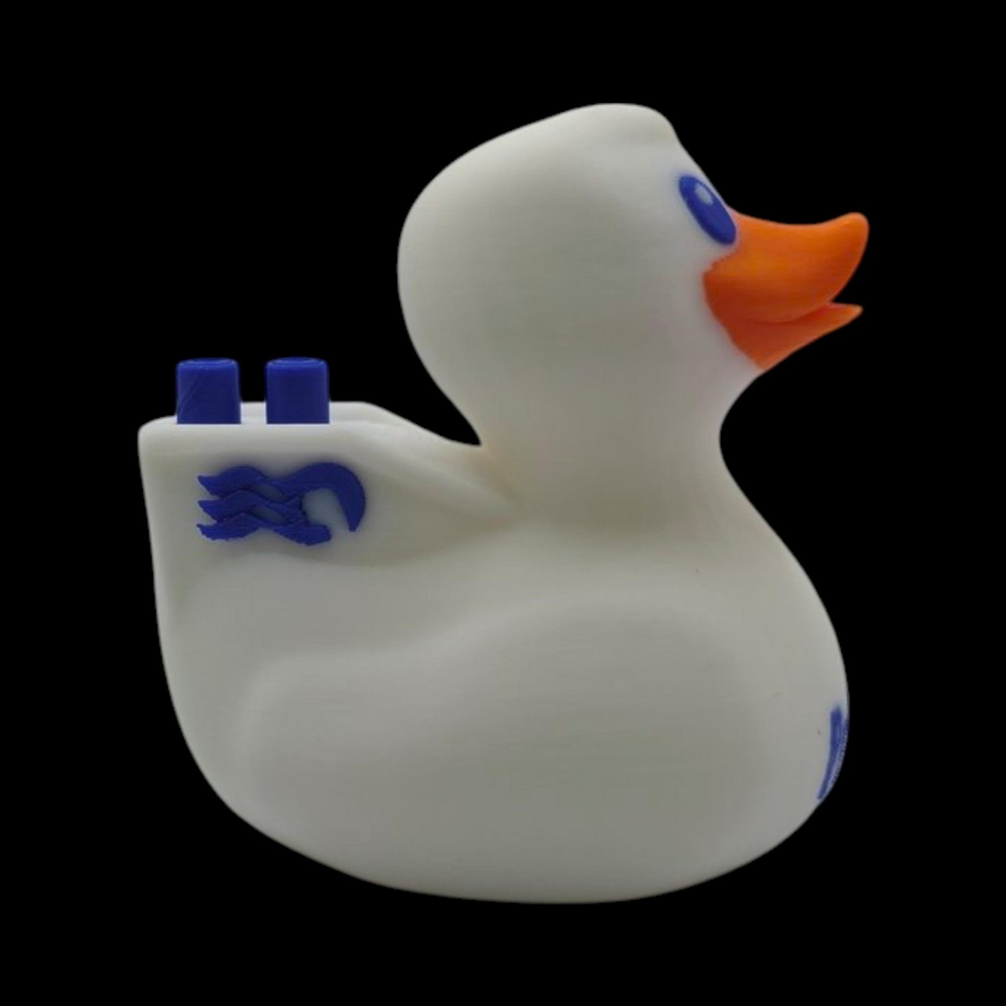 Princess Cruise Inspired Duck Cabin Decoration Travel Souvenir Ship Name Date Customization Themed - JM Designs