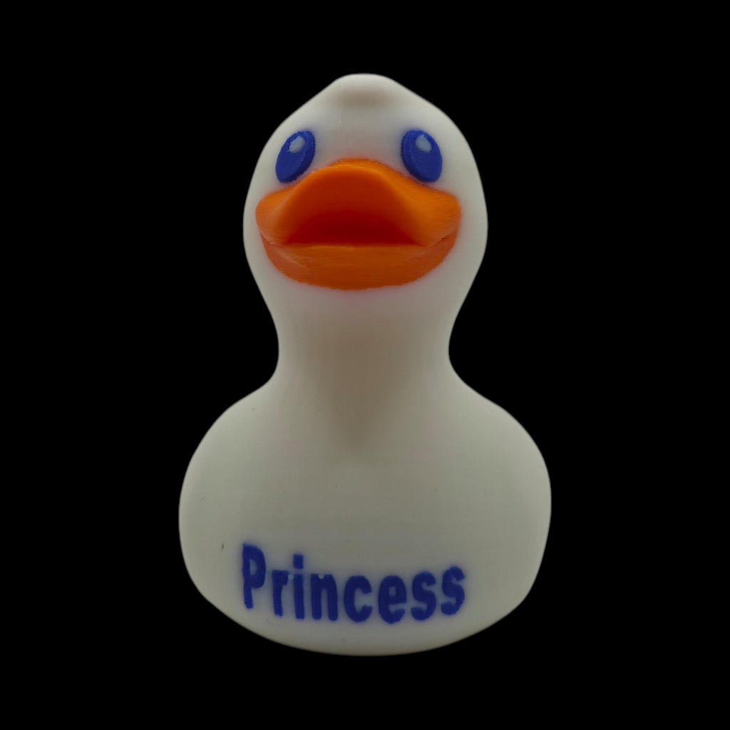 Princess Cruise Inspired Duck Cabin Decoration Travel Souvenir Ship Name Date Customization Themed - JM Designs