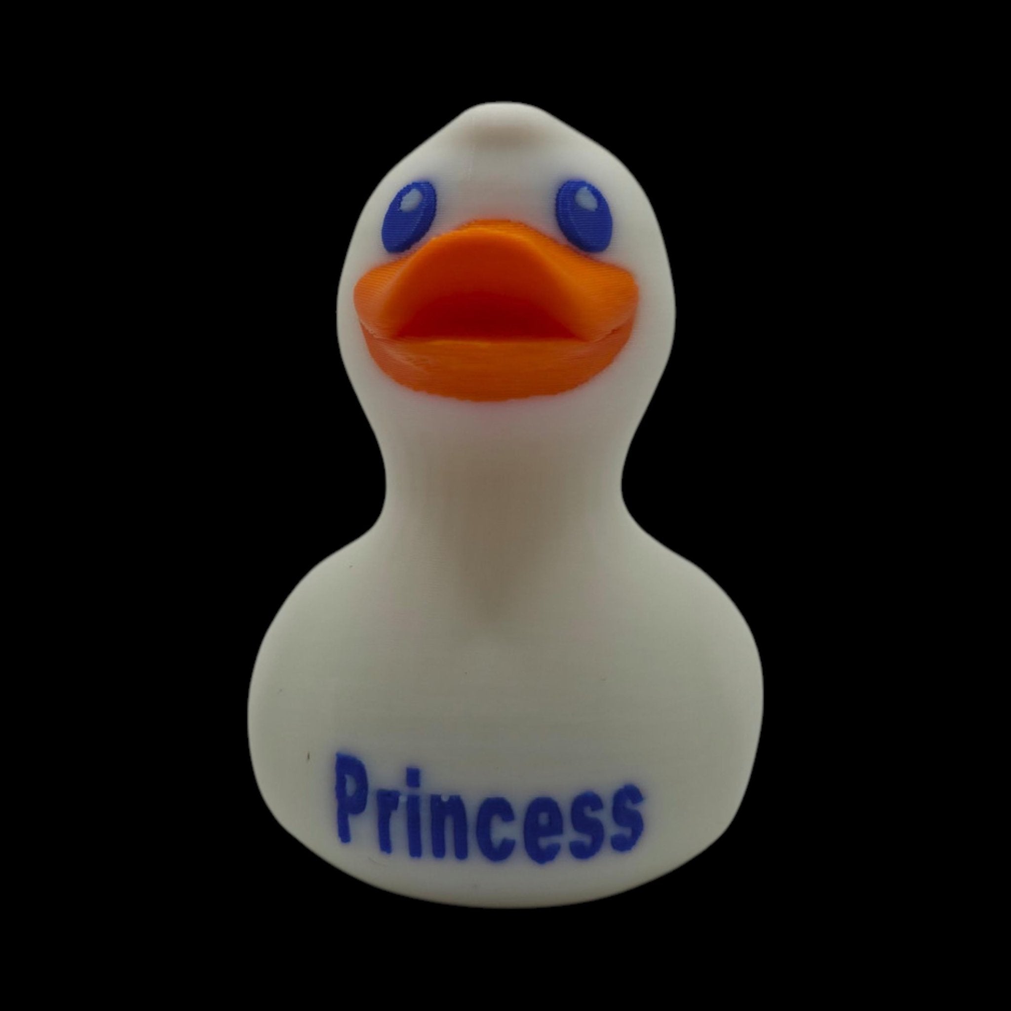 Princess Cruise Inspired Duck Cabin Decoration Travel Souvenir Ship Name Date Customization Themed - JM Designs