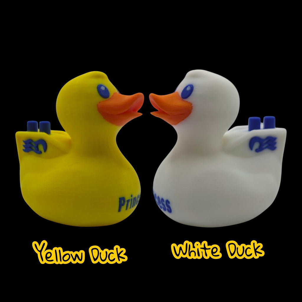 Princess Cruise Inspired Duck Cabin Decoration Travel Souvenir Ship Name Date Customization Themed - JM Designs