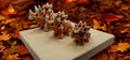 Triceratops Dinosaur Toy, Ecofriendly 3D Printed Accent for Toddler Room Decor - JM Designs